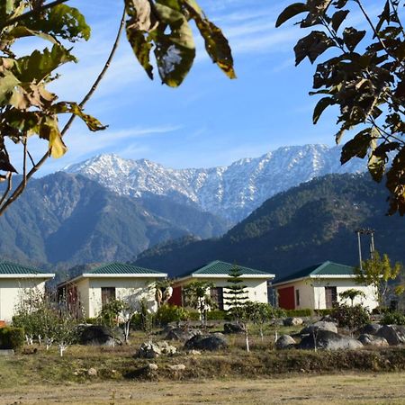 Dhauladhar View Village Resort ดารัมซาลา ภายนอก รูปภาพ