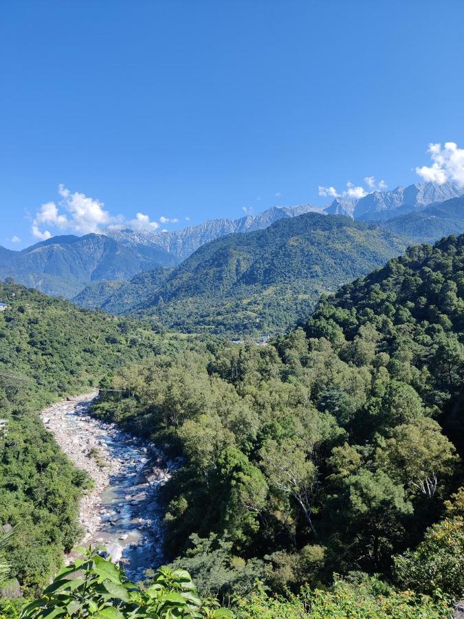 Dhauladhar View Village Resort ดารัมซาลา ภายนอก รูปภาพ
