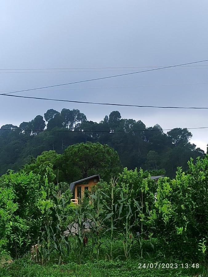 Dhauladhar View Village Resort ดารัมซาลา ภายนอก รูปภาพ