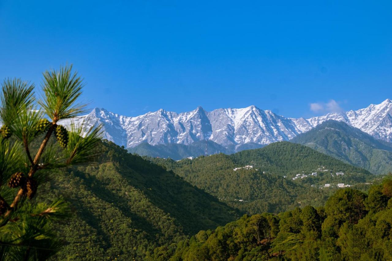 Dhauladhar View Village Resort ดารัมซาลา ภายนอก รูปภาพ